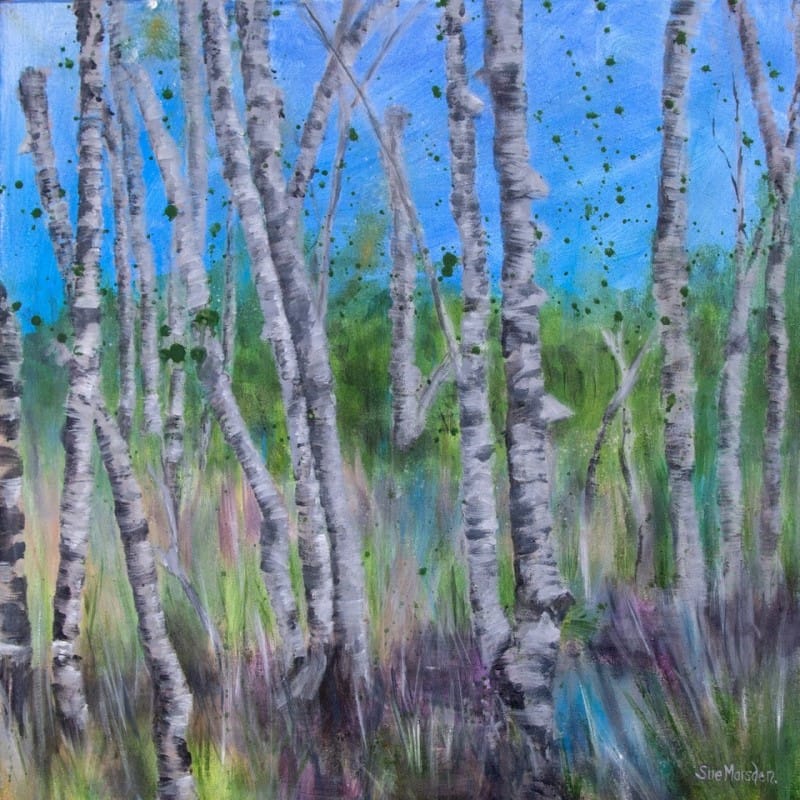 Sue Marsden, Ribble Valley, Lancashire, UK