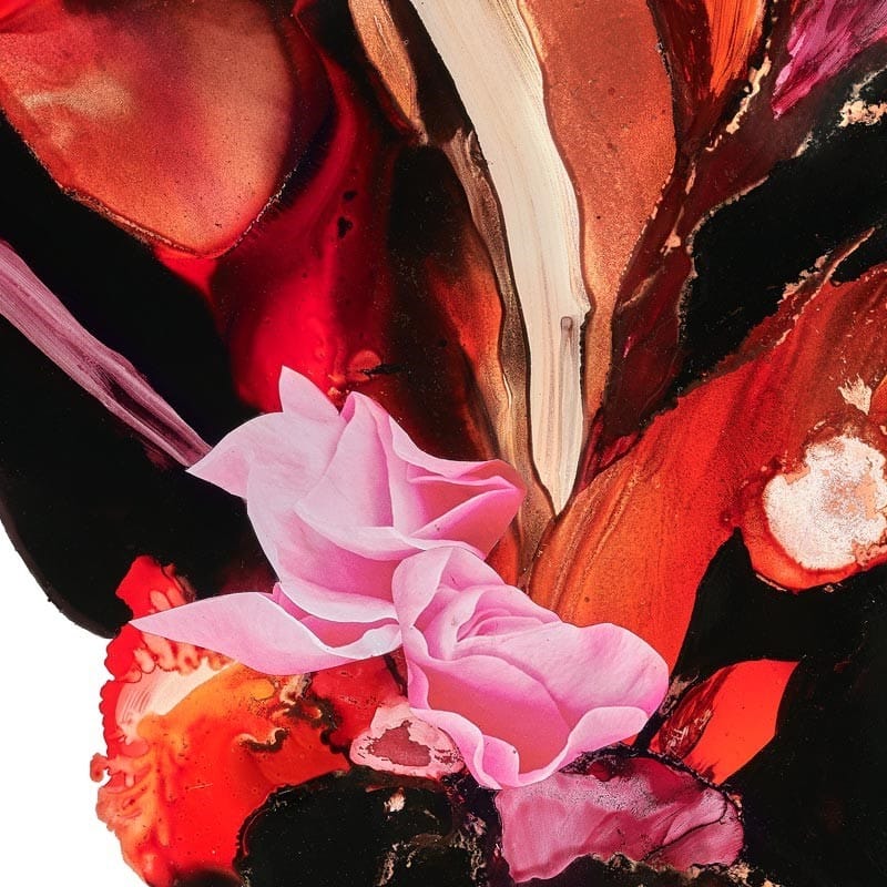 Celia Davies, Ribble Valley, Lancashire, Fine Art