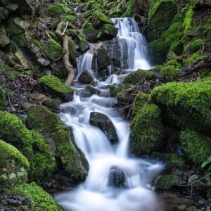 Duncan Phillips Irene Amiet Photography