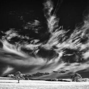 Duncan Phillips Irene Amiet Photography