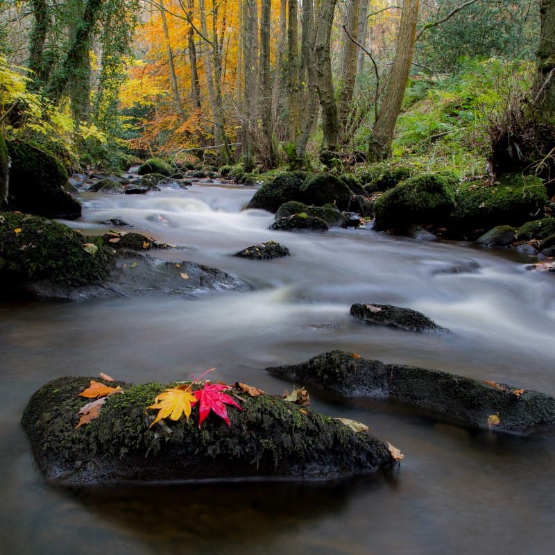 Inger Vandyke, Ribble Valley, Lancashire, UK, Photography, Fine Art