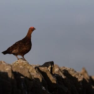 Inger Vandyke, Ribble Valley, Lancashire, UK, Photography, Fine Art