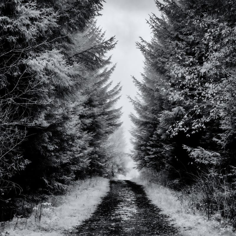 Knowle Top Studios, Ribble Valley, Lancashire, UK, Photography, Gallery, Classes