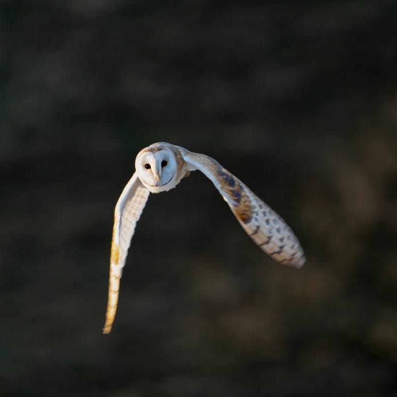 Knowle Top Studios, Ribble Valley, Lancashire, UK, Photography, Gallery, Classes