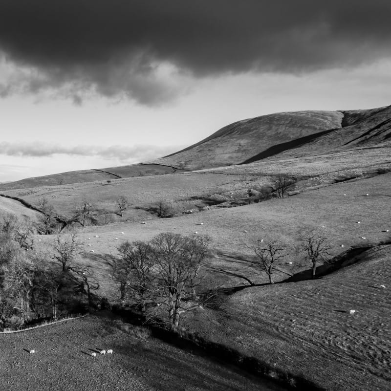 Knowle Top Studios, Ribble Valley, Lancashire, UK, Photography, Gallery, Classes