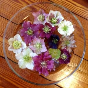 Creative Floral Design with Maxine Lord