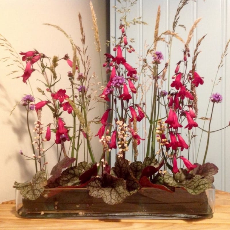 Maxine-Lord-5-800-1 Creative Floral Design with Maxine Lord