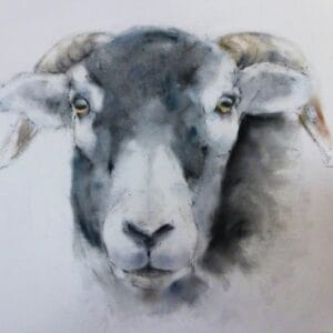 Pat Ellacot, Ribble Valley