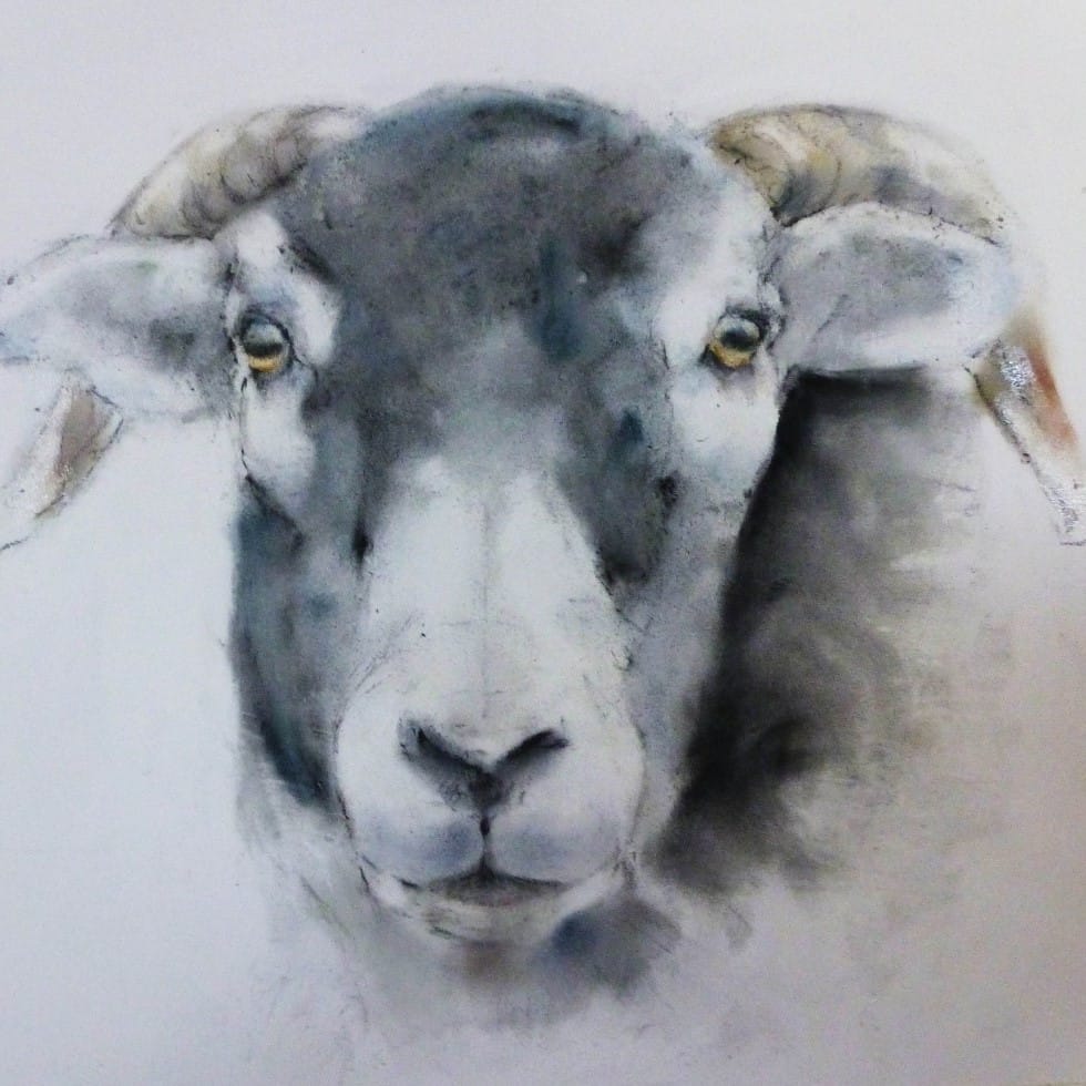 Pat Ellacot, Ribble Valley