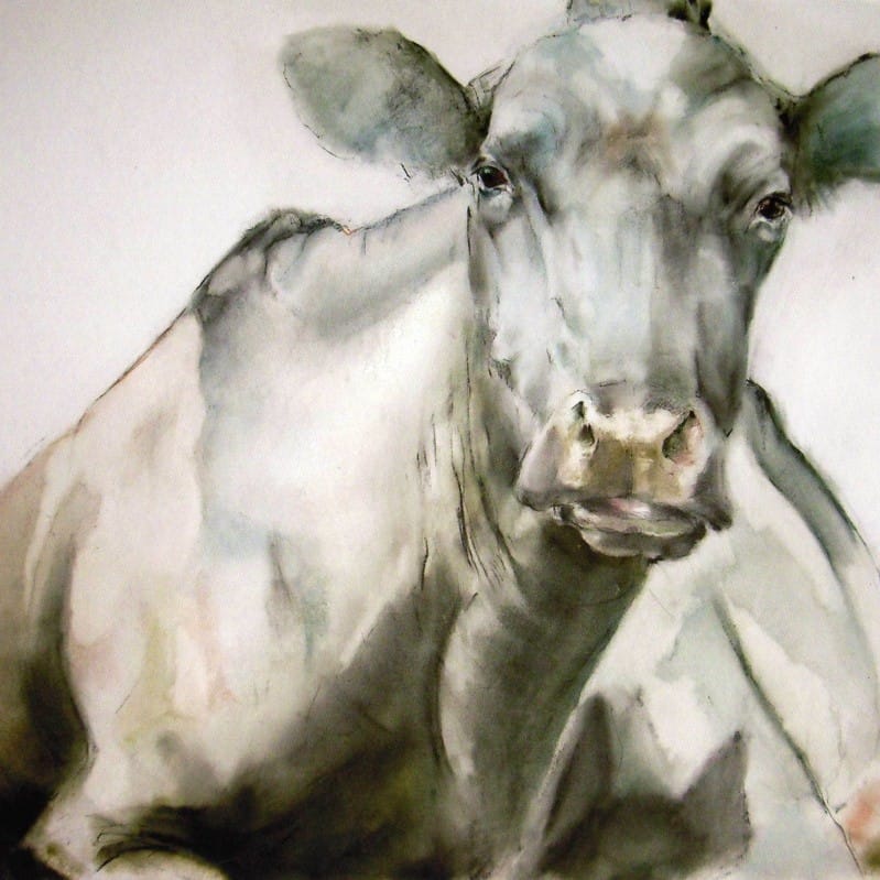 Pat Ellacot, Ribble Valley