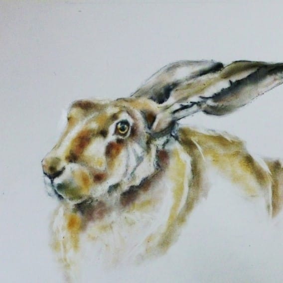 Pat Ellacot, Ribble Valley