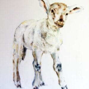 Pat Ellacot, Ribble Valley