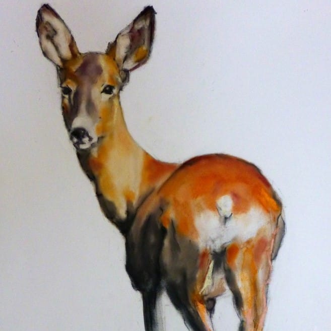 Pat Ellacot, Ribble Valley