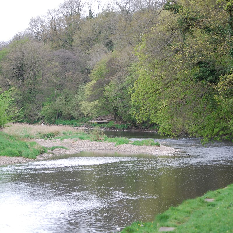 Ribble Valley Sculpture Trail, Clitheroe