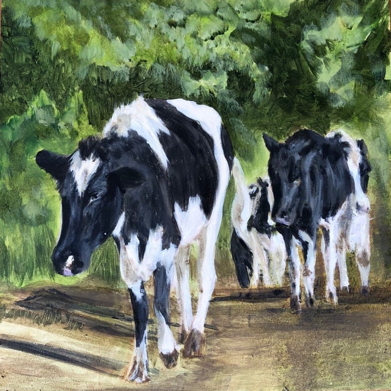 Sue Marsden, Ribble Valley, Lancashire, UK